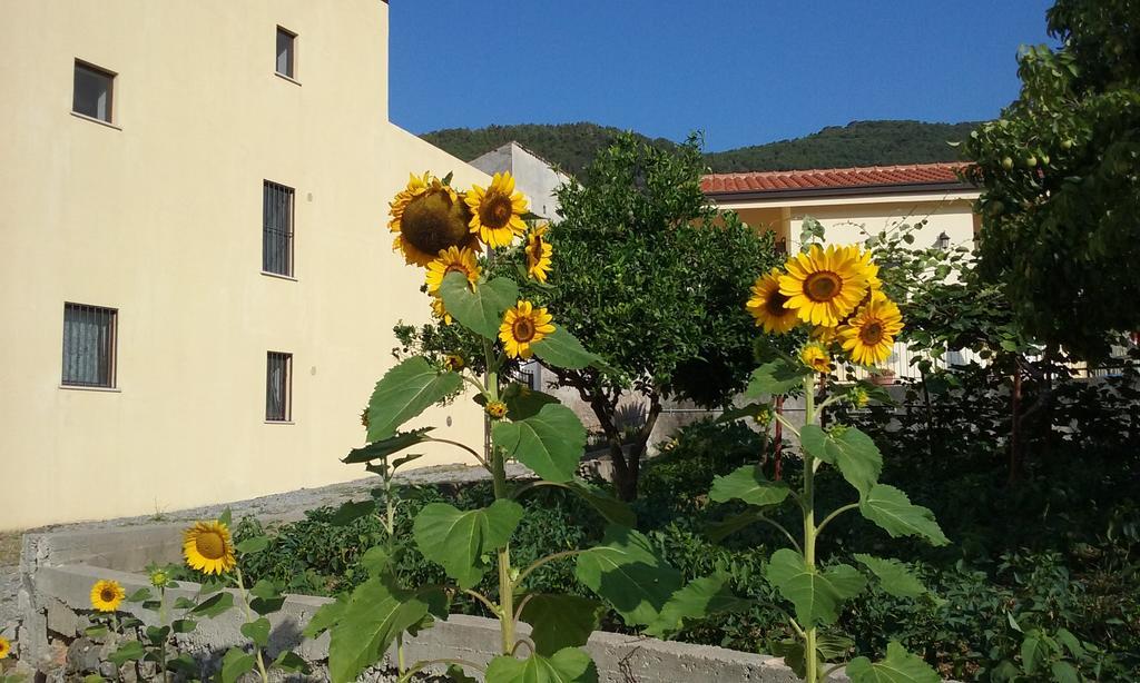 Il Giardino Di Julia B&B Тортора Экстерьер фото
