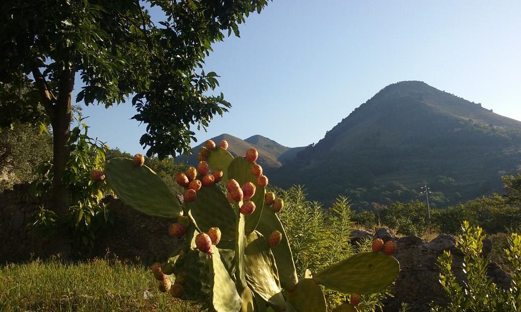Il Giardino Di Julia B&B Тортора Экстерьер фото