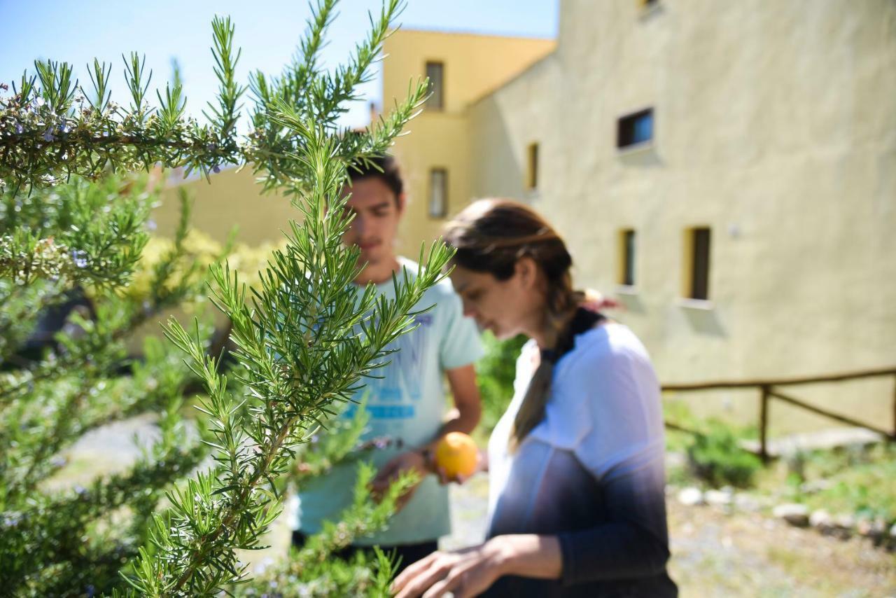 Il Giardino Di Julia B&B Тортора Экстерьер фото