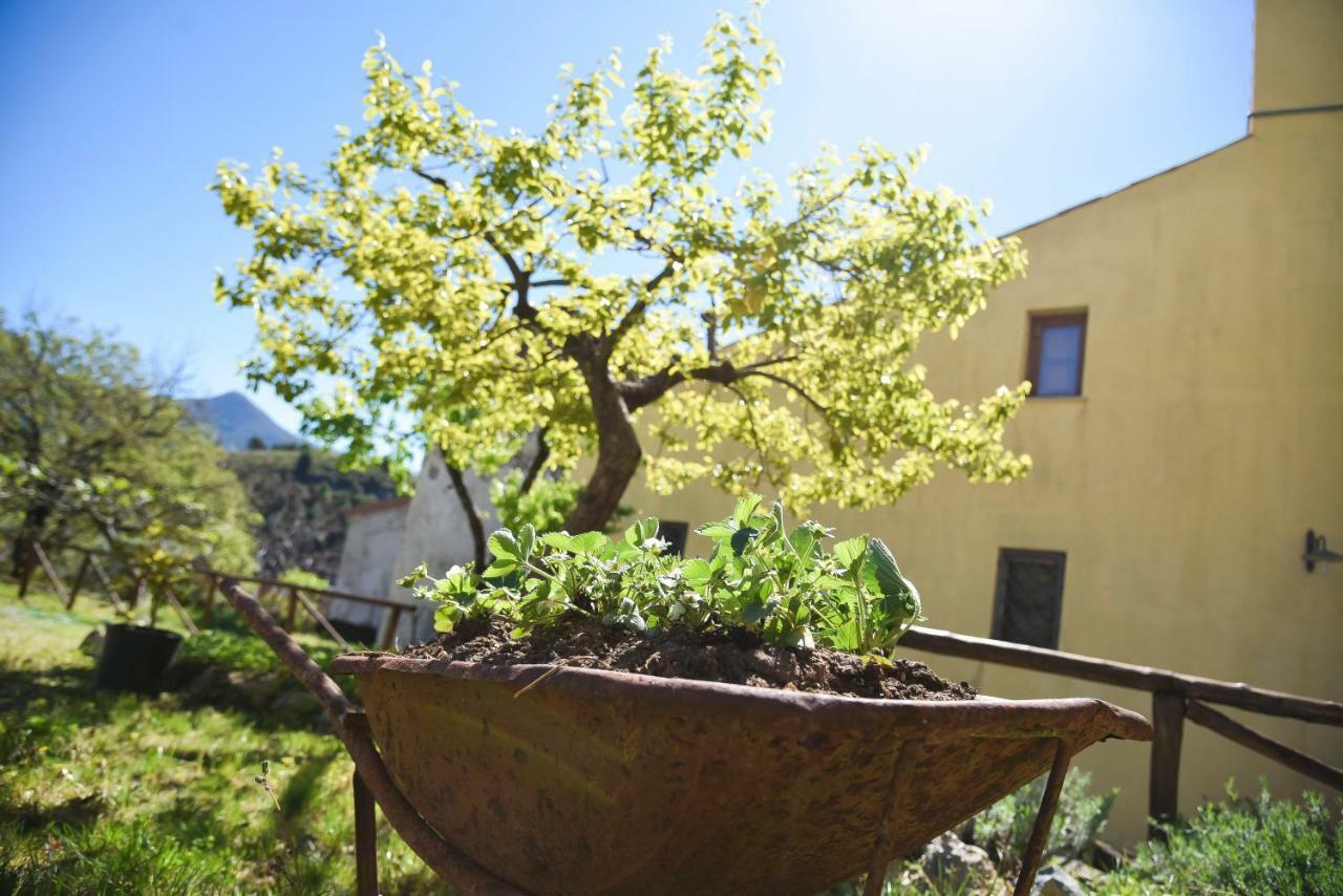 Il Giardino Di Julia B&B Тортора Экстерьер фото
